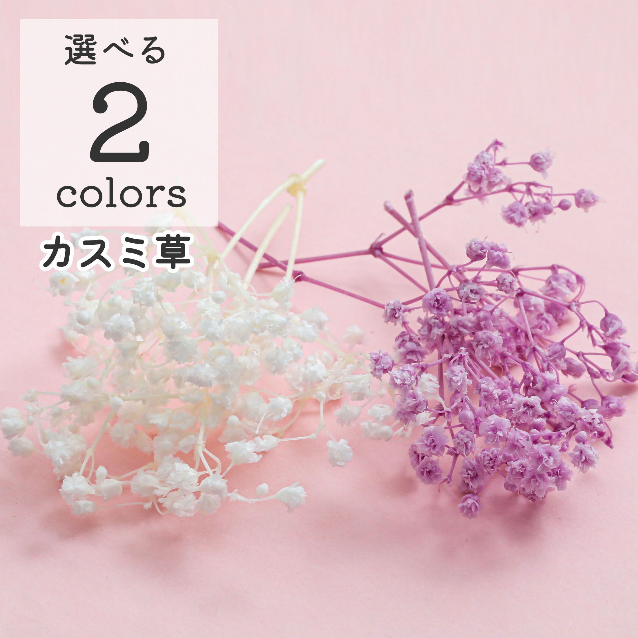 楽天市場】【小分け】 『ミニバラヘッド アソート』 薔薇 ドライ