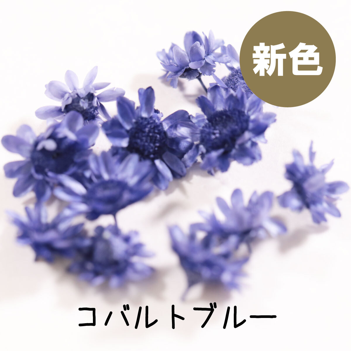 独創的 花材 小分け スターフラワー ブロッサム レジン ドライフラワー レジン用花材 封入 パーツ 材料 素材 ハーバリウム 小さいお花 少量  レジン封入素材 ネイル素材 花びら 小花 シリコンモールドに入れてもかわいい tuulikuautoaed.ee