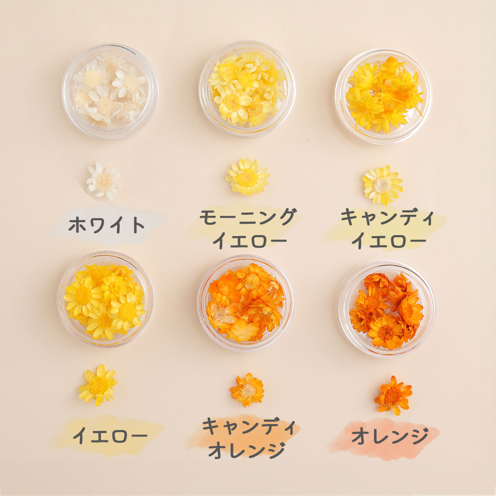 ドライフラワー 花材 スターフラワー ブロッサム 23色 小分け 花びら