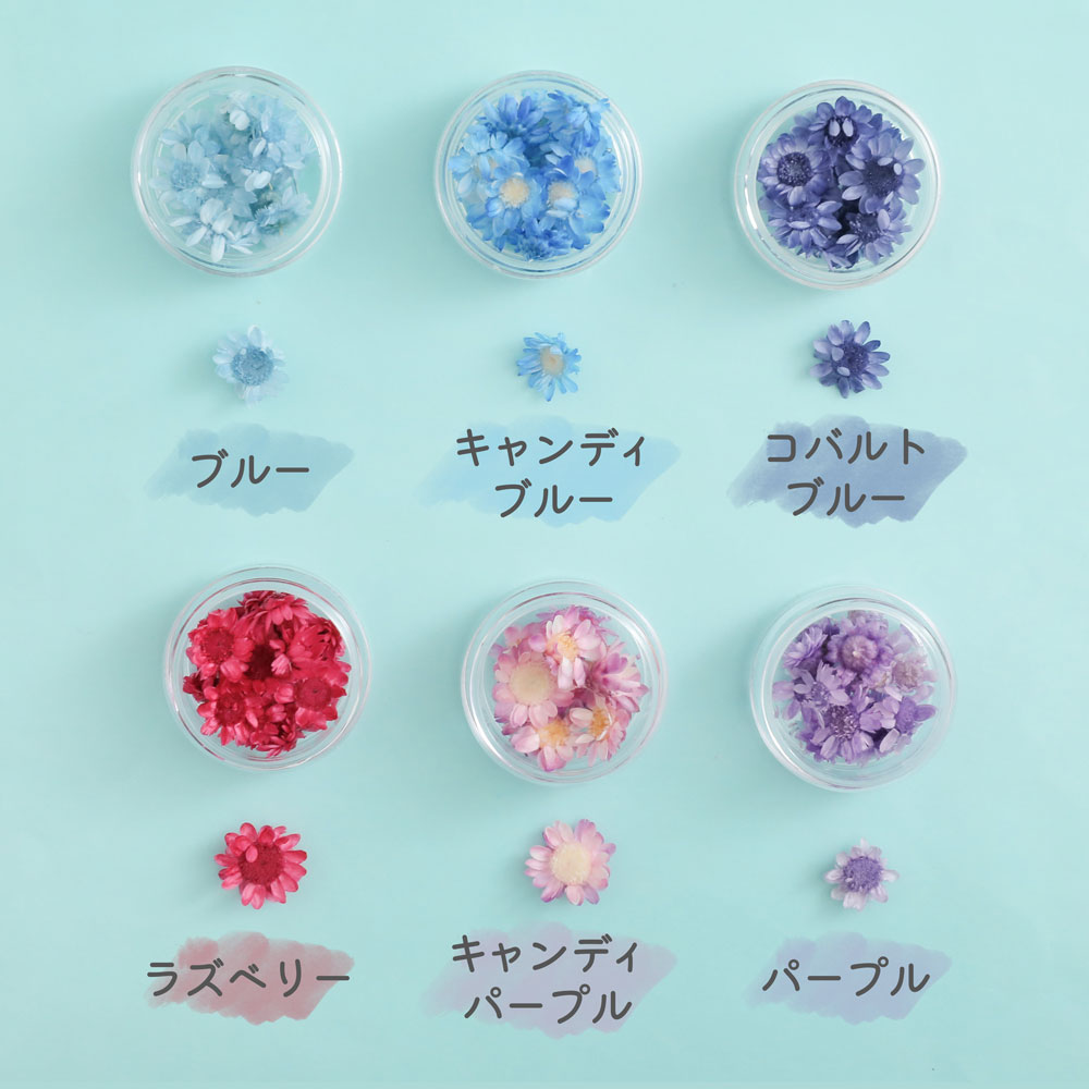 ドライフラワー 花材 スターフラワー ブロッサム 23色 小分け 花びら