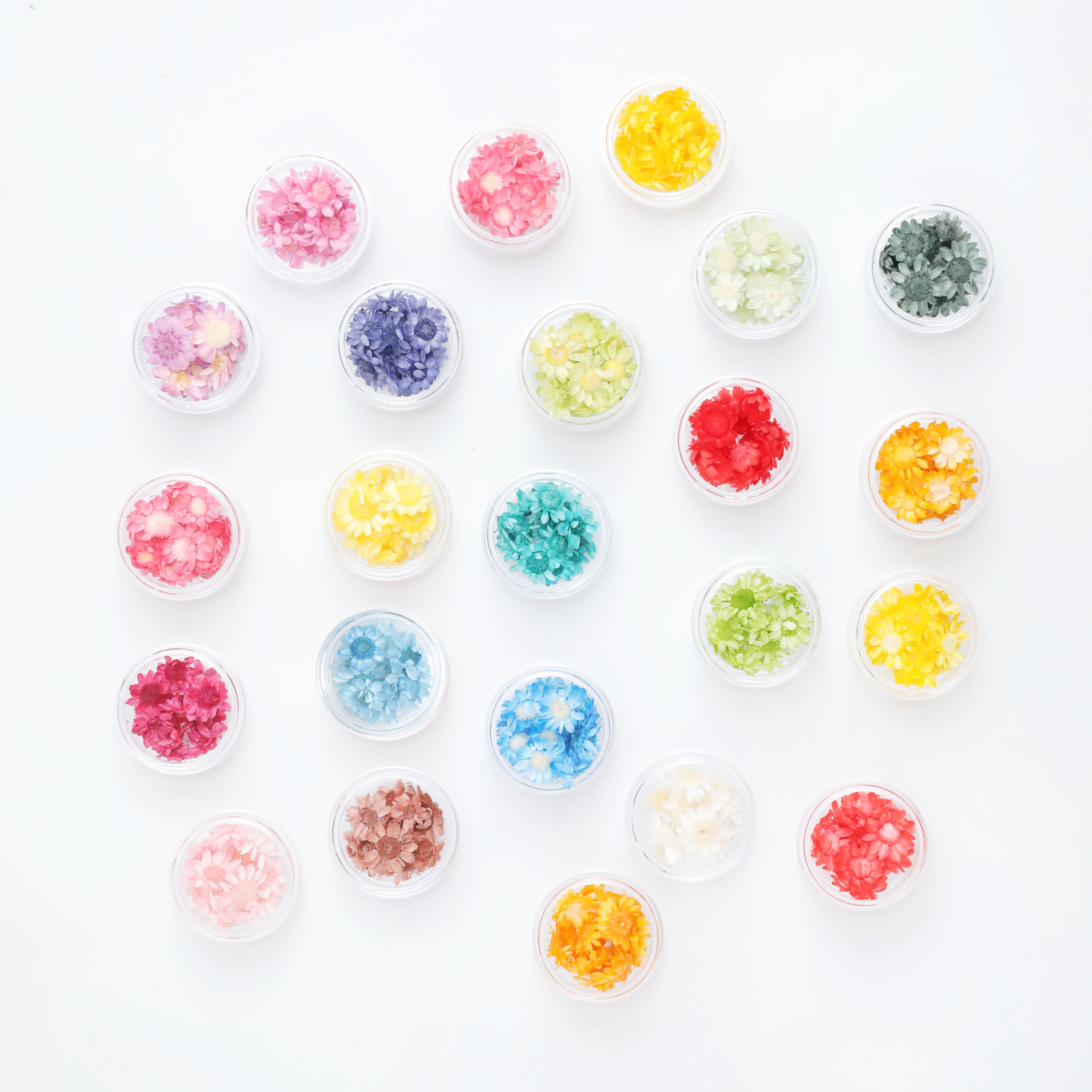 ドライフラワー 花材 スターフラワー ブロッサム 23色 小分け 花びら