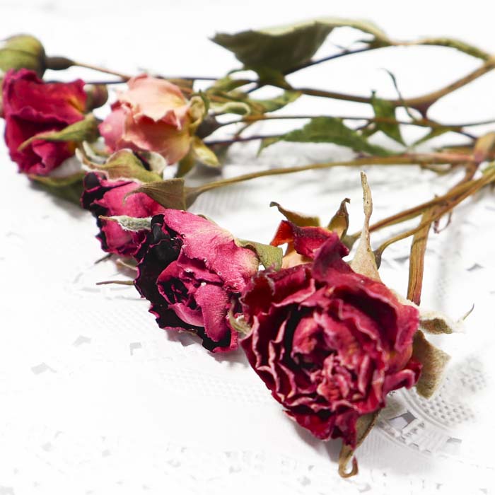 ドライフラワーꕤ︎︎4種類のバラとお花いっぱいSummer縦長ガーランド