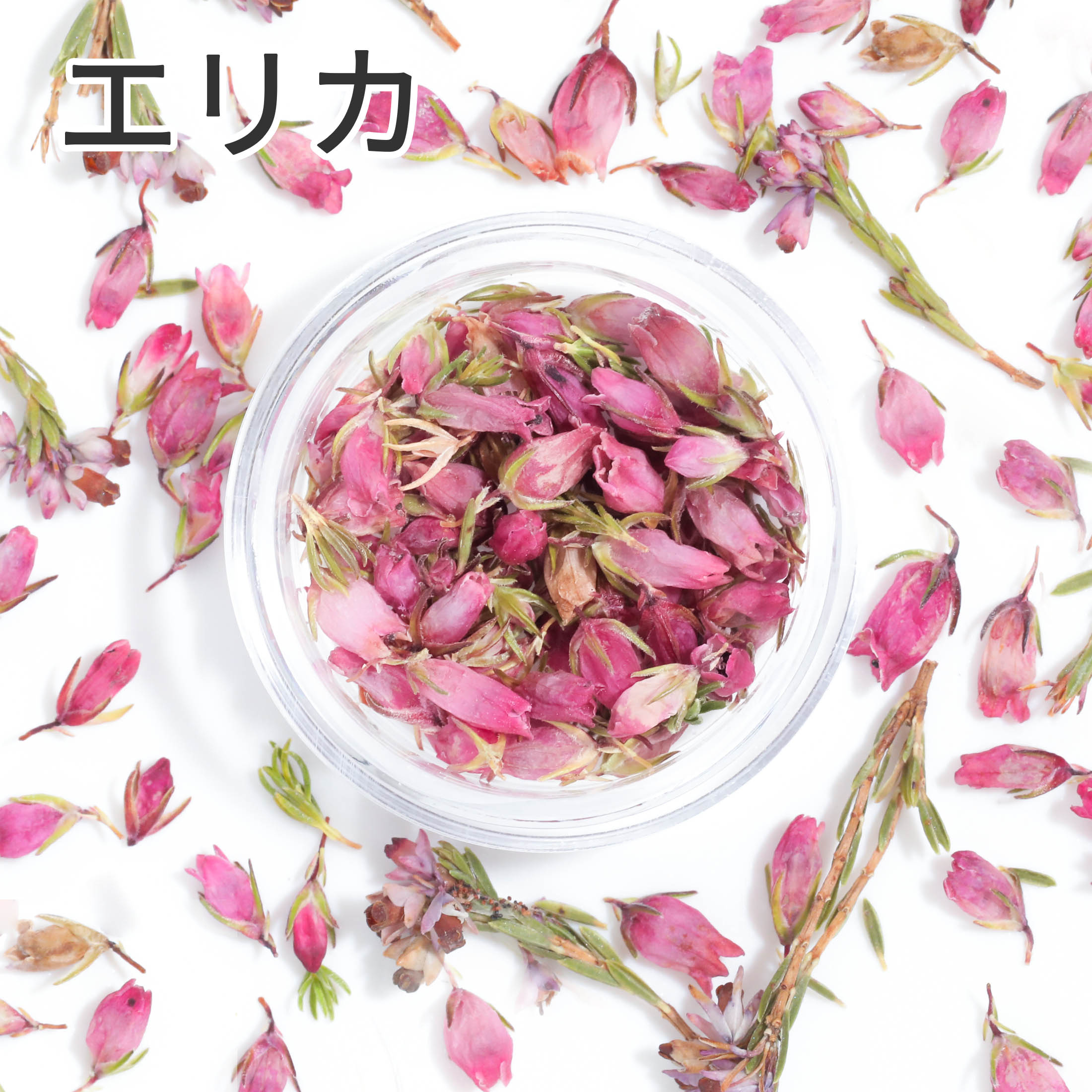 楽天市場】【花材 小分け】 桜の花びら 6枚入り さくら