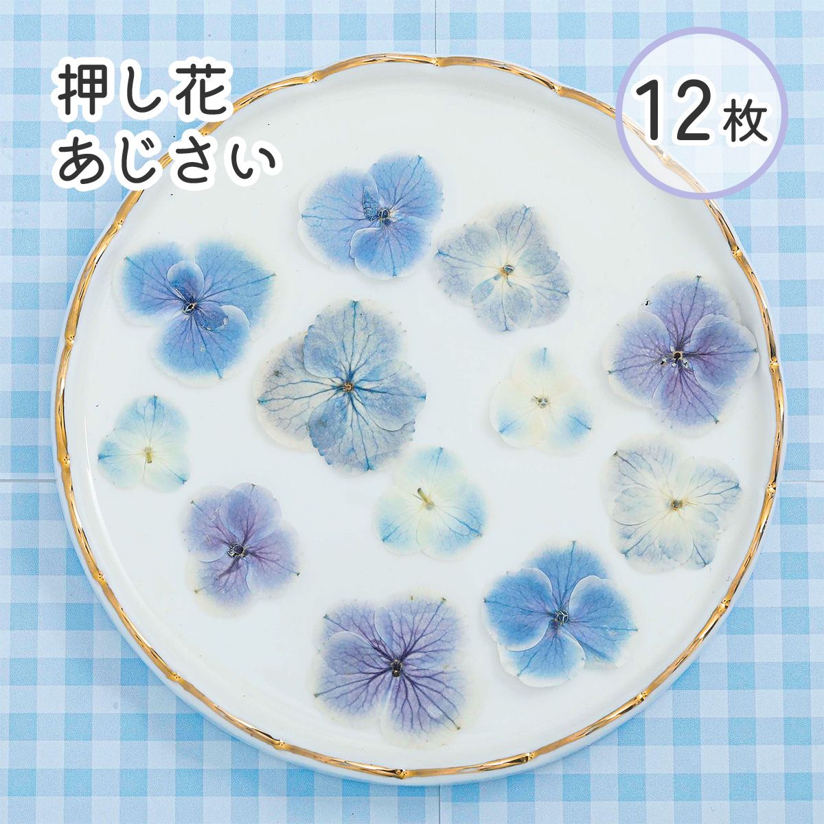 楽天市場】青系セット 押し花 素材 ドライフラワー アソート ブルー