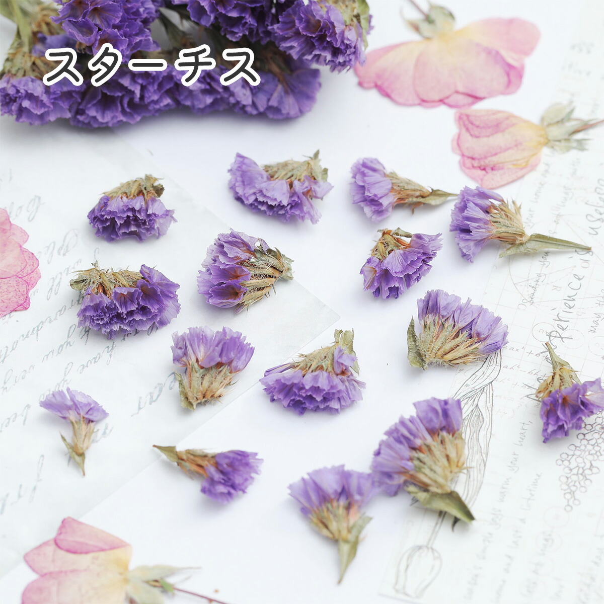 ドライフラワー❇️ミニバラ❣️ミックス 楽天市場】ミニバラ（カラーレッド）（ドライフラワー｜花・観葉植物