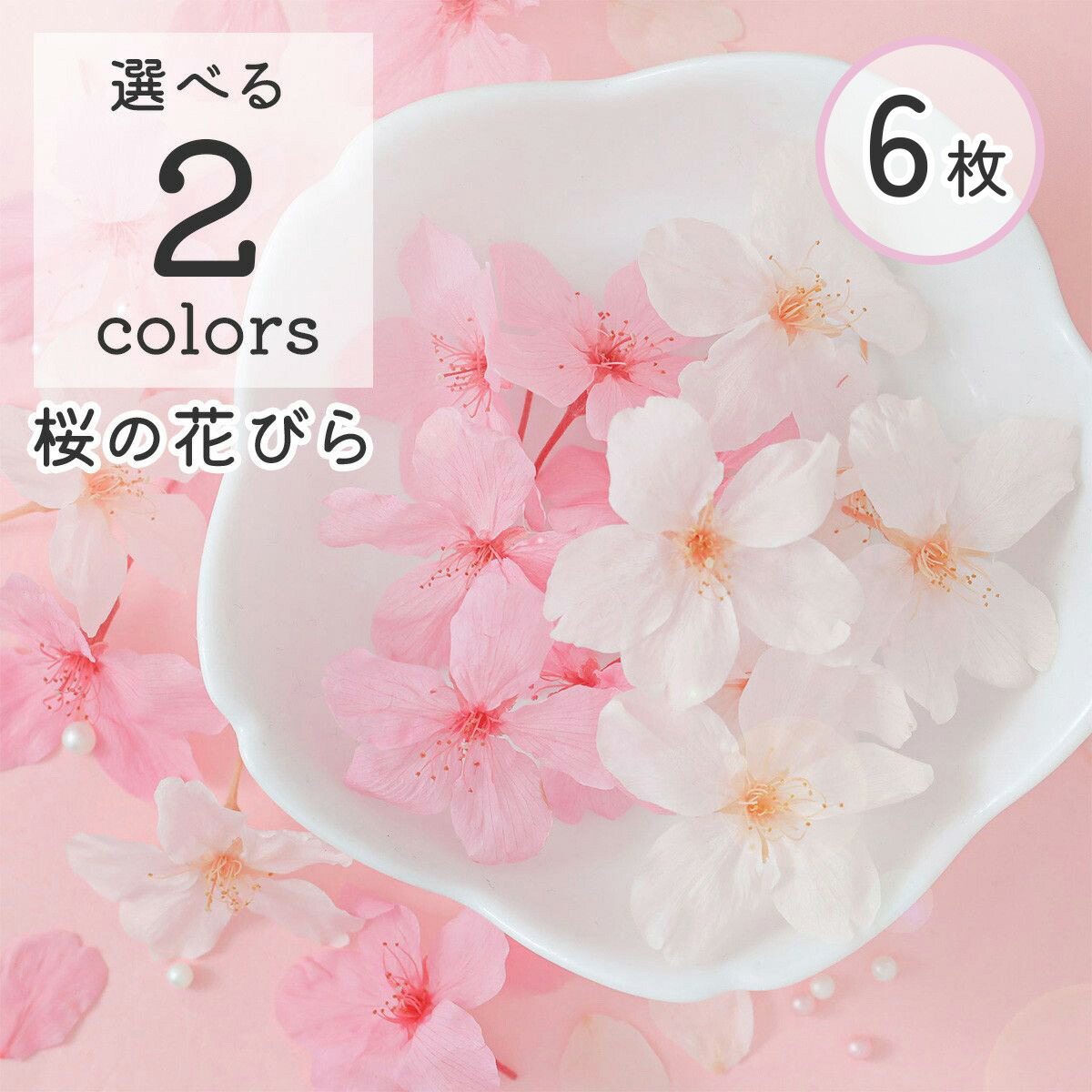 楽天市場】【ドライ】押し花 桜 24輪 ピンク染/1-010Y【07