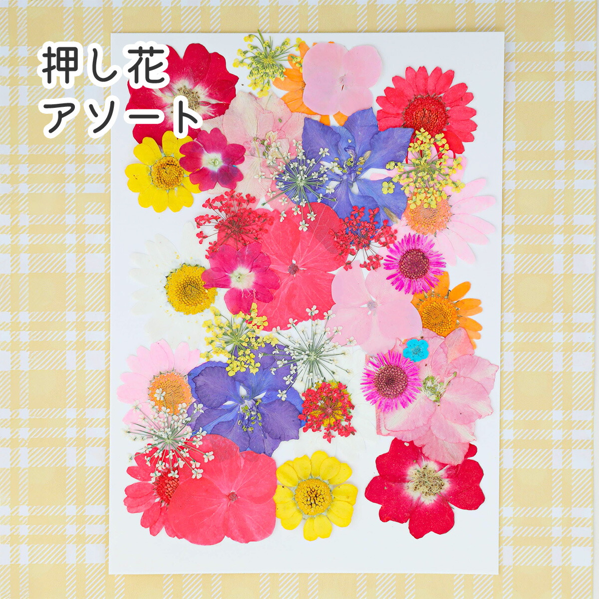 oppo押し花ハンドメイド 自分で選べる！ほぼ全機種対応スマホケース】押し花スマホケース