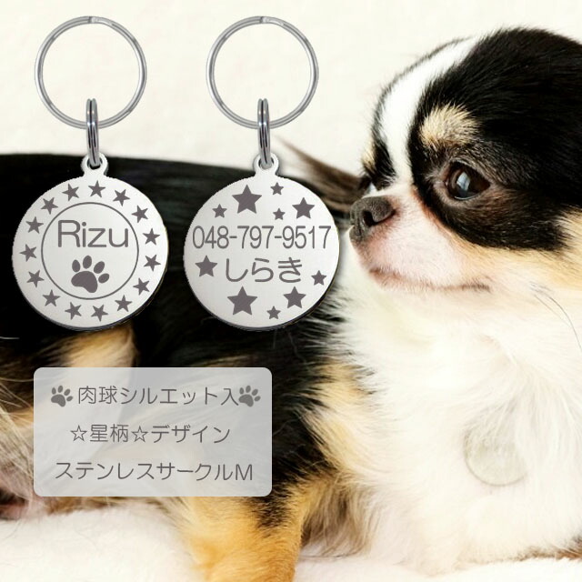 楽天市場】【訳あり アウトレット】迷子札 肉球 シルエット入 ネコ 猫ちゃん用 極小タイプ ネーム プレート ステンレスサークルSS : ハンドメイドスタジオ AirSkyWeb 楽天市場】【訳あり アウトレット】迷子札 肉球 シルエット入 ネコ 猫ちゃん用 極小タイプ ネーム プレート ステンレスサークルSS : ハンドメイドスタジオ AirSkyWeb