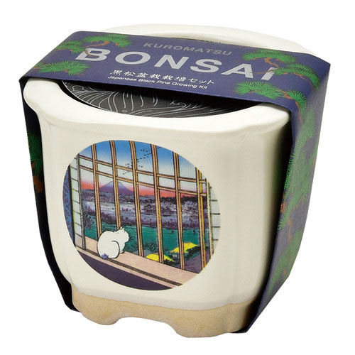 楽天市場】【送料無料】【ギフト/贈答品】【現品限り】【岩月竹光】黄