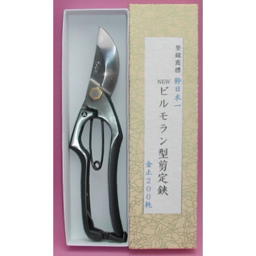 たたまずに持ち運べる傘