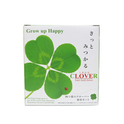 楽天市場】高山園芸 四つ葉のクローバー ダブル ラミネートカード