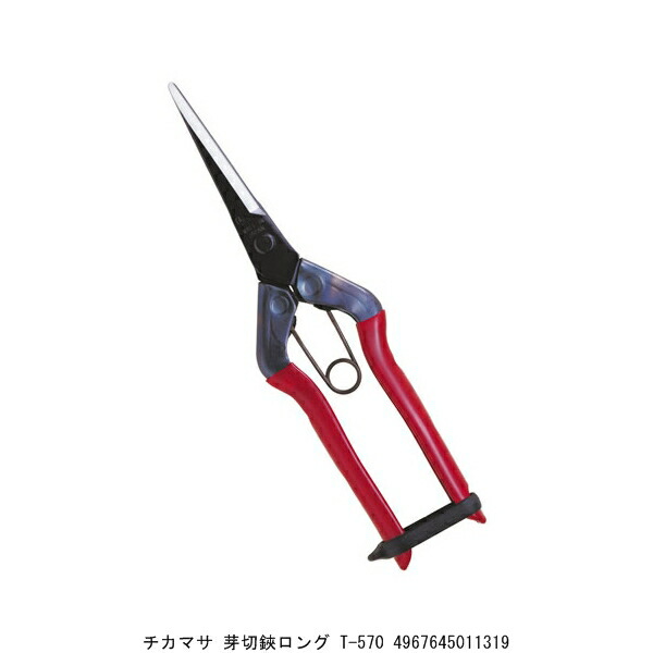 楽天市場】近正 T-570 芽切鋏 ロング チカマサ (zm) : 瀧商店