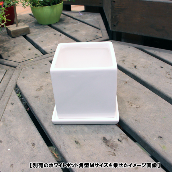 楽天市場 陶器鉢 植木鉢用 皿 キューブ ホワイトポット受け皿 角型 直径15cm ハンズマン