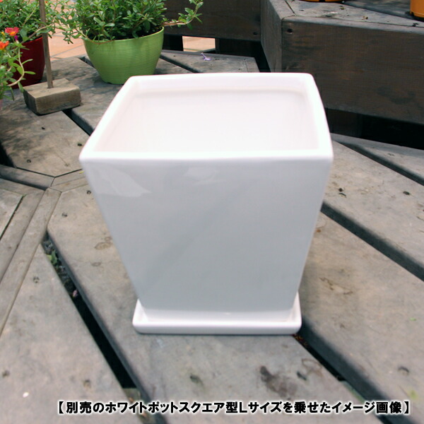 人気定番の 送料無料 60個セット 角型 植木鉢 プランター 5号 ホワイト 約幅11 9cm 日本製 深型 リッチェル フォーレ スクエアポット 生活用品 インテリア 雑貨 花 ガーデニング 鉢 その他の鉢 レビュー投稿で次回使える00円クーポン全員にプレゼント 鉢
