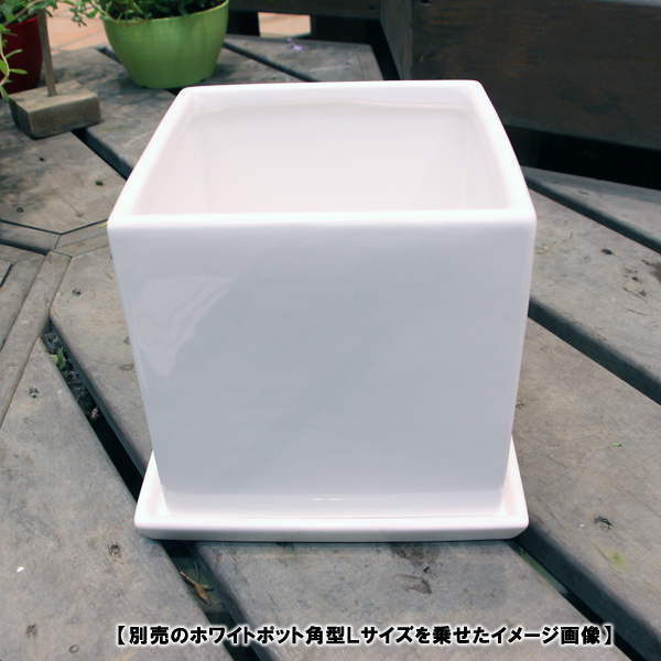 楽天市場 陶器鉢 植木鉢用 皿 キューブ ホワイトポット受け皿 角型 直径cm ｄｉｙホームセンターハンズマン