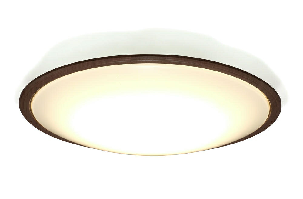アイリスオーヤマ 【節電打つ手】 LED最高限度点火装置 12畳調光調色 (日本点火装置産業会所属) 調光10座標軸 調色11座標軸 節電名取り草積み上げる 遠隔操作付き添い人 5200ルーメン 白木一こま IRIS OHYAMA CEA12DL-5.0QWFM