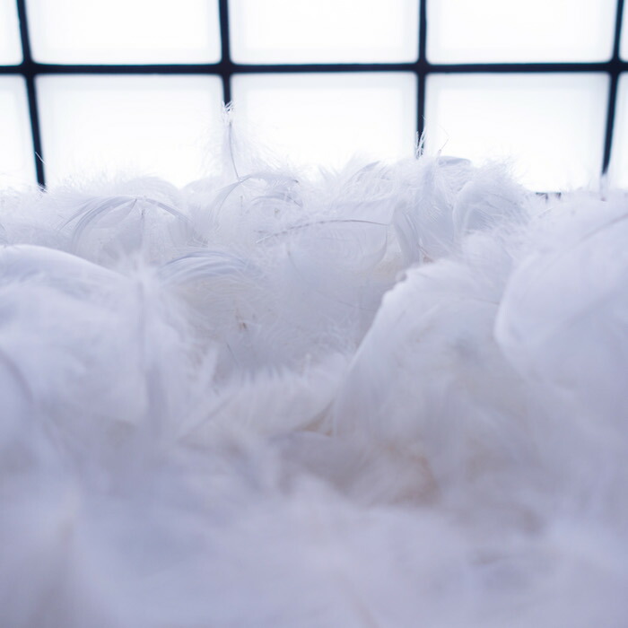 希望者のみラッピング無料 コキール 白 1kg 白い羽根 白の羽根 天然羽根この羽根はディスプレイ エンジェルシャワー アクセサリー ヘットドレス等に使用されてます Fucoa Cl