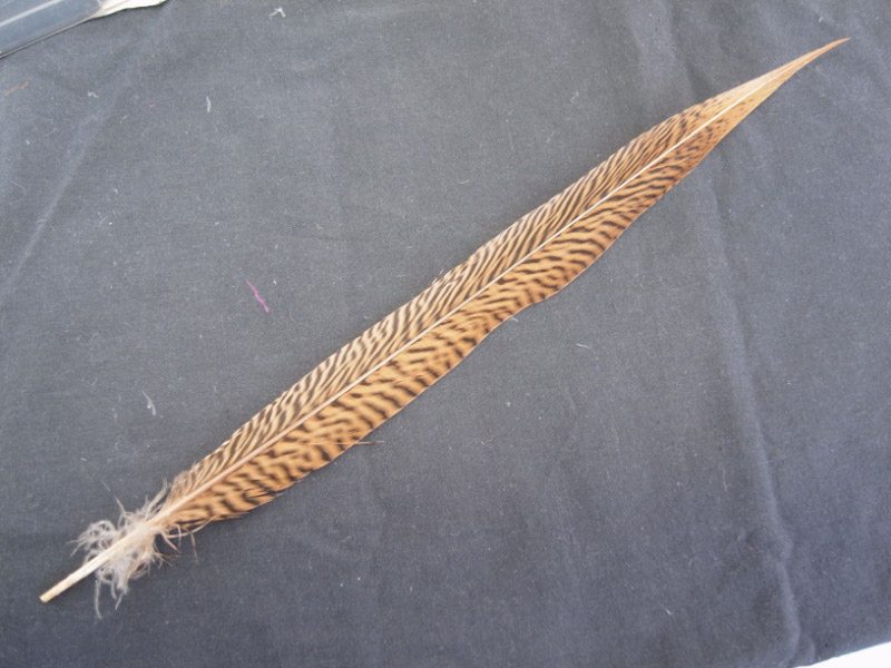 ハッカン尾 30-50cm 装飾用羽根