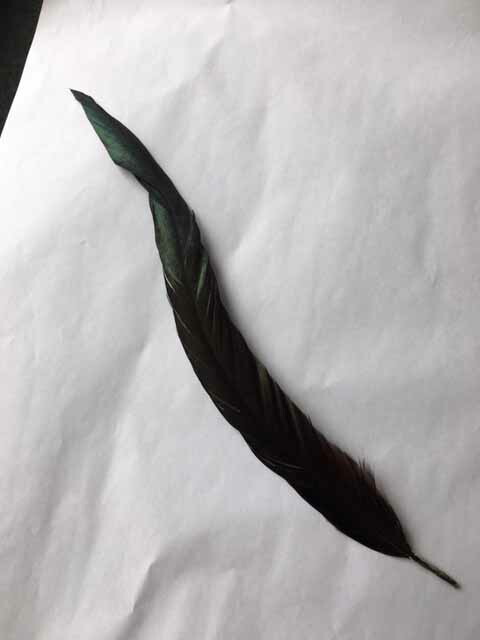 楽天市場】尾 羽根 黒40cm 【装飾用】【フェザー アクセサリー パーツ