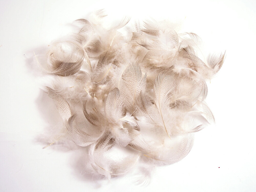 楽天市場】マラブー(10本)レッド フライタイイング 羽根 フライ