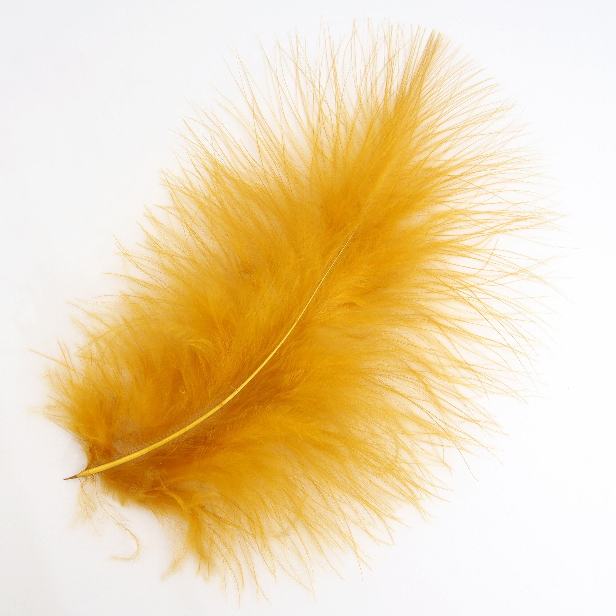 楽天市場】マラブー(10本)チャートリュース フライタイイング 羽根
