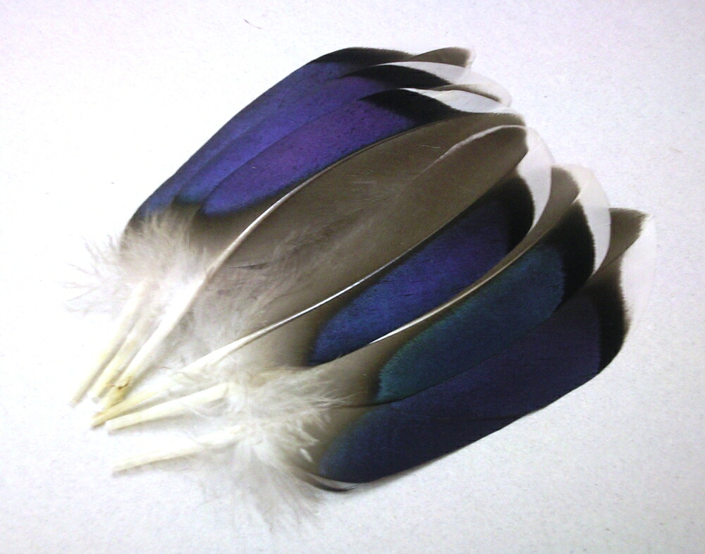 楽天市場】マラブー(10本)レッド フライタイイング 羽根 フライ