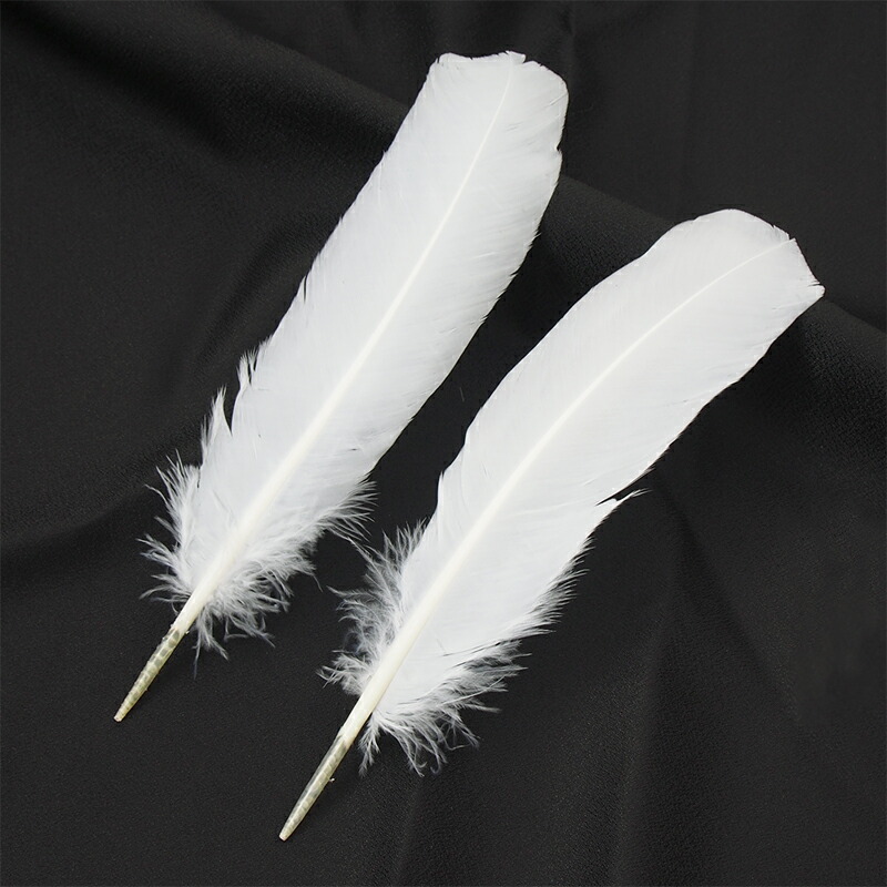 東京事変「鉛の羽毛ペーパーウェイト」・「オブジェ　しろがね孔雀」セット◆未使用品 消防 JP-SBK-260-光学ガラス製ペーパーウェイト | 消防・警察・自衛隊