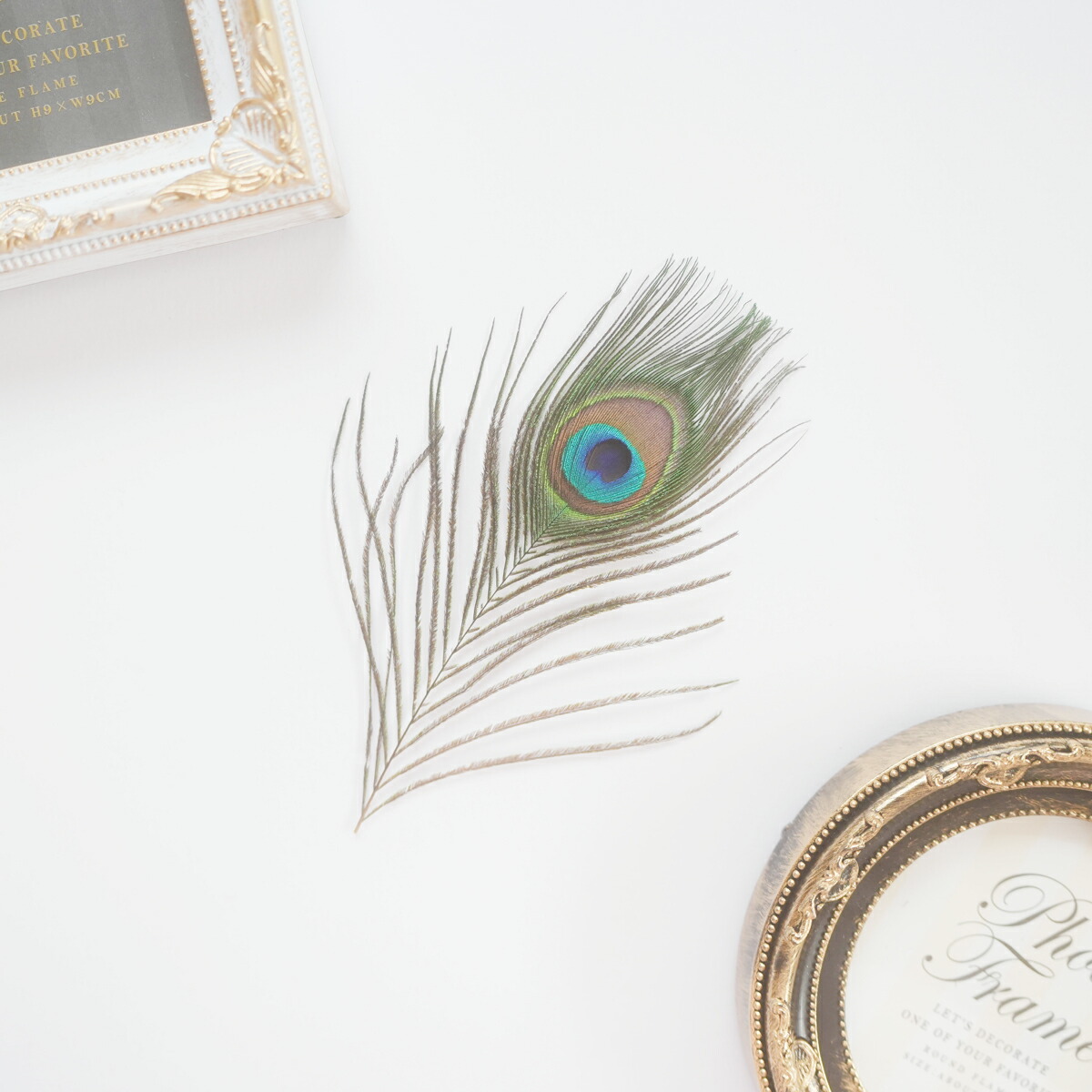 楽天市場】羽 孔雀 3本 【装飾用】 送料無料 30-40cm【フェザー パーツ