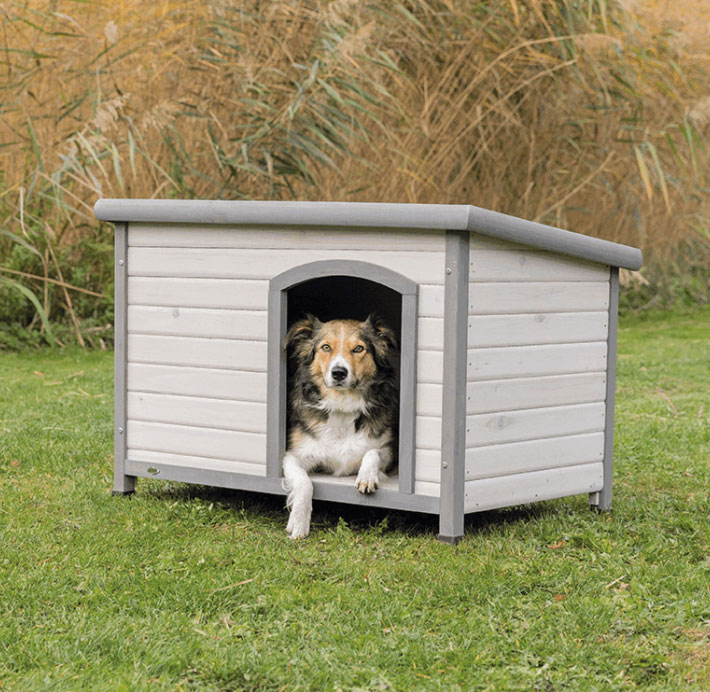 楽天市場 新色です ドイツtrixie 新発売 屋外用犬小屋 ドイツtrixie ナチュラドッグハウス フラットルーフ 色 グレー M Lサイズ 犬小屋 ハウス 屋外 ドッグハウス 犬小屋 ハウス 屋外 ドッグハウス Hangon