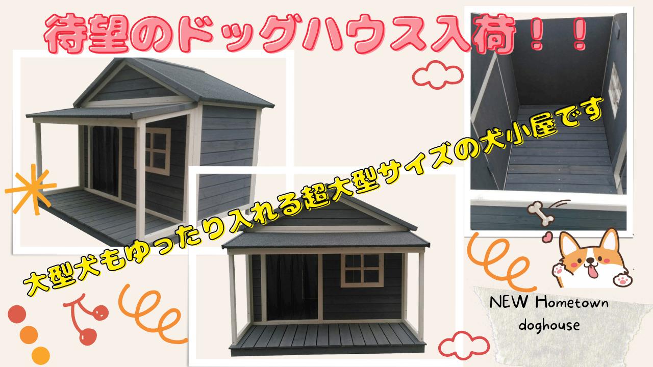 楽天市場】幅130センチ！！人気商品、大型 犬小屋！※超大型犬 犬