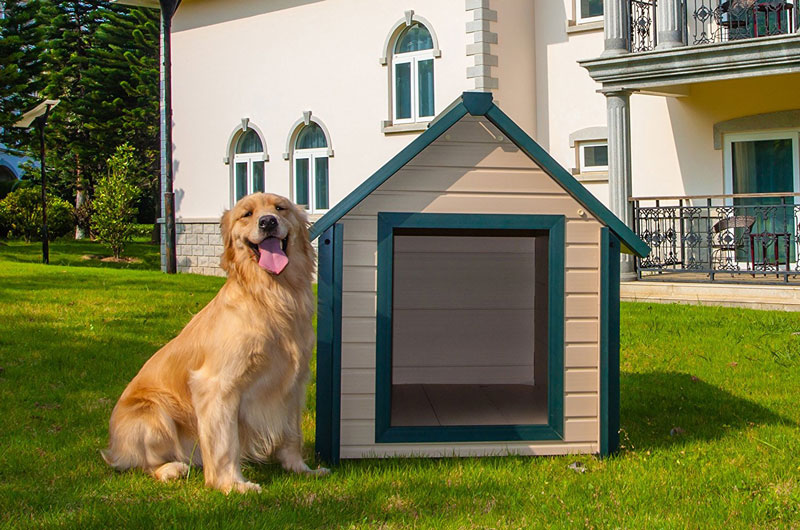 IIIE 新築・犬小屋 ドッグハウス【送料込】仔犬用 オブジェ