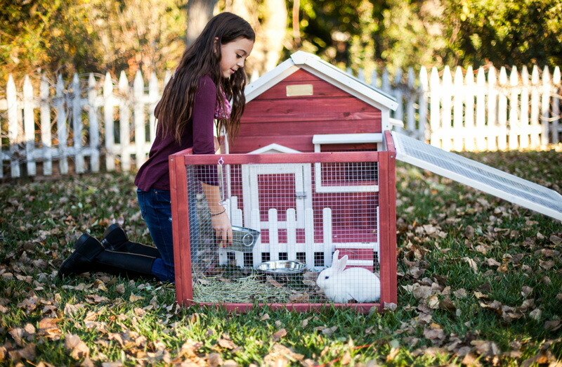 【ADVANTEK】海外のログハウス風のうさぎ小屋です!アメリカアドバンテックラビットケージザ・ホワイトピケットフェンスラビットハッチ【うさぎラビットフェレットハムスターバード鳥ケージ小動物学校幼稚園】