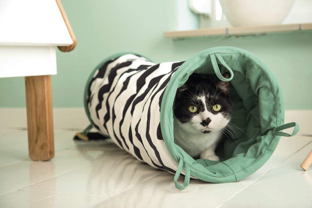 オランダ王国beeztees ネコちゃんのトンネル キャット演じるトンネル Crupa 猫家 キャットハウス 防護猫 Daemlu Cl