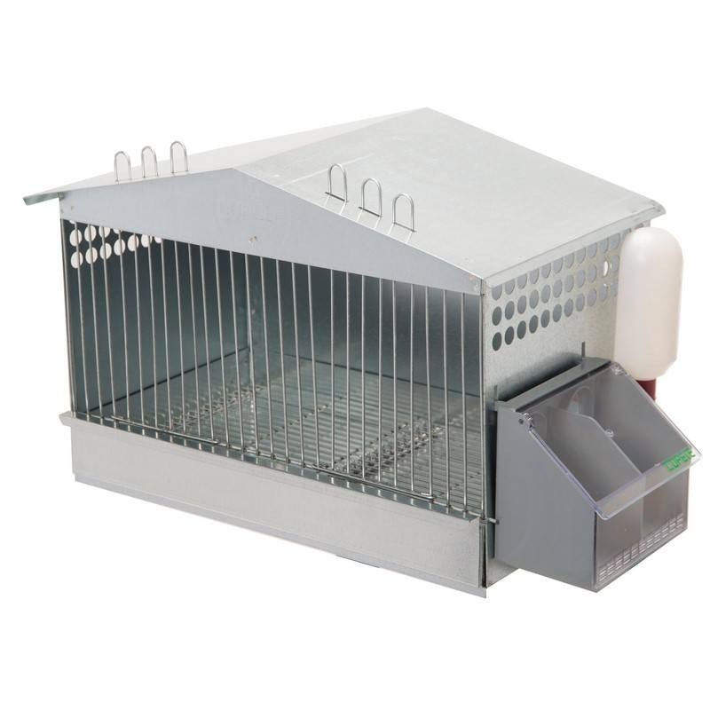 楽天市場】大きめ【フランスZOLUX】フランスからついに日本上陸！鳥用