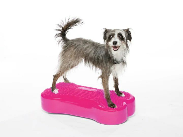 【亜米利加FITPAWS】犬用 アジリティグッズ FitPAWS ドッグバランスフィットネス CanineGym K9FITbone 犬 平衡にする どんぶり鉢 【ドッグエクササイズ ドッグヨガ 社会復帰 体幹形づくる】
