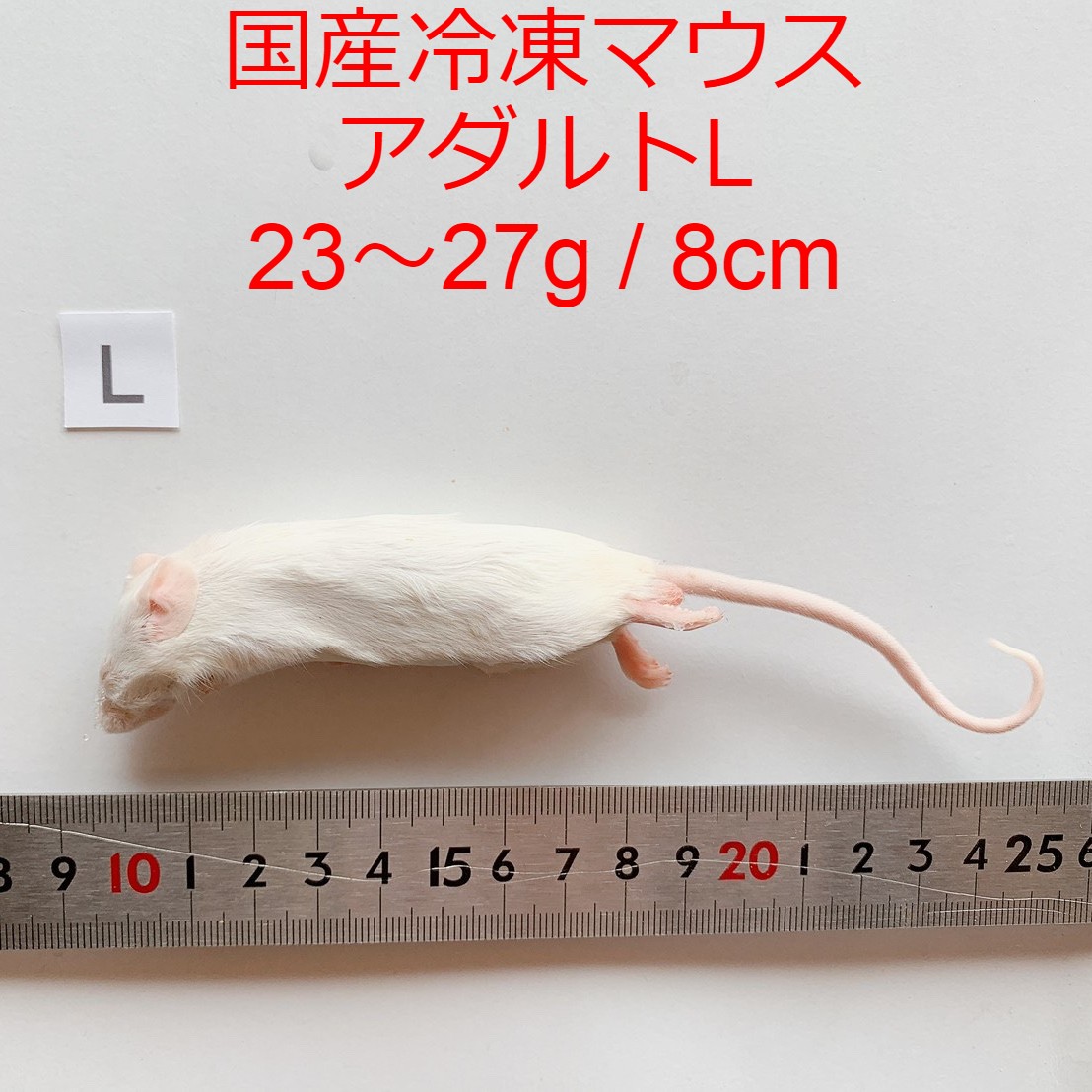 冷凍★Ｌ（１０匹）　カタ養殖　Ｍｉｃｅ４　冷凍ピンクマウス　パック　冷凍マウス　別途クール手数料　常温商品同梱不可