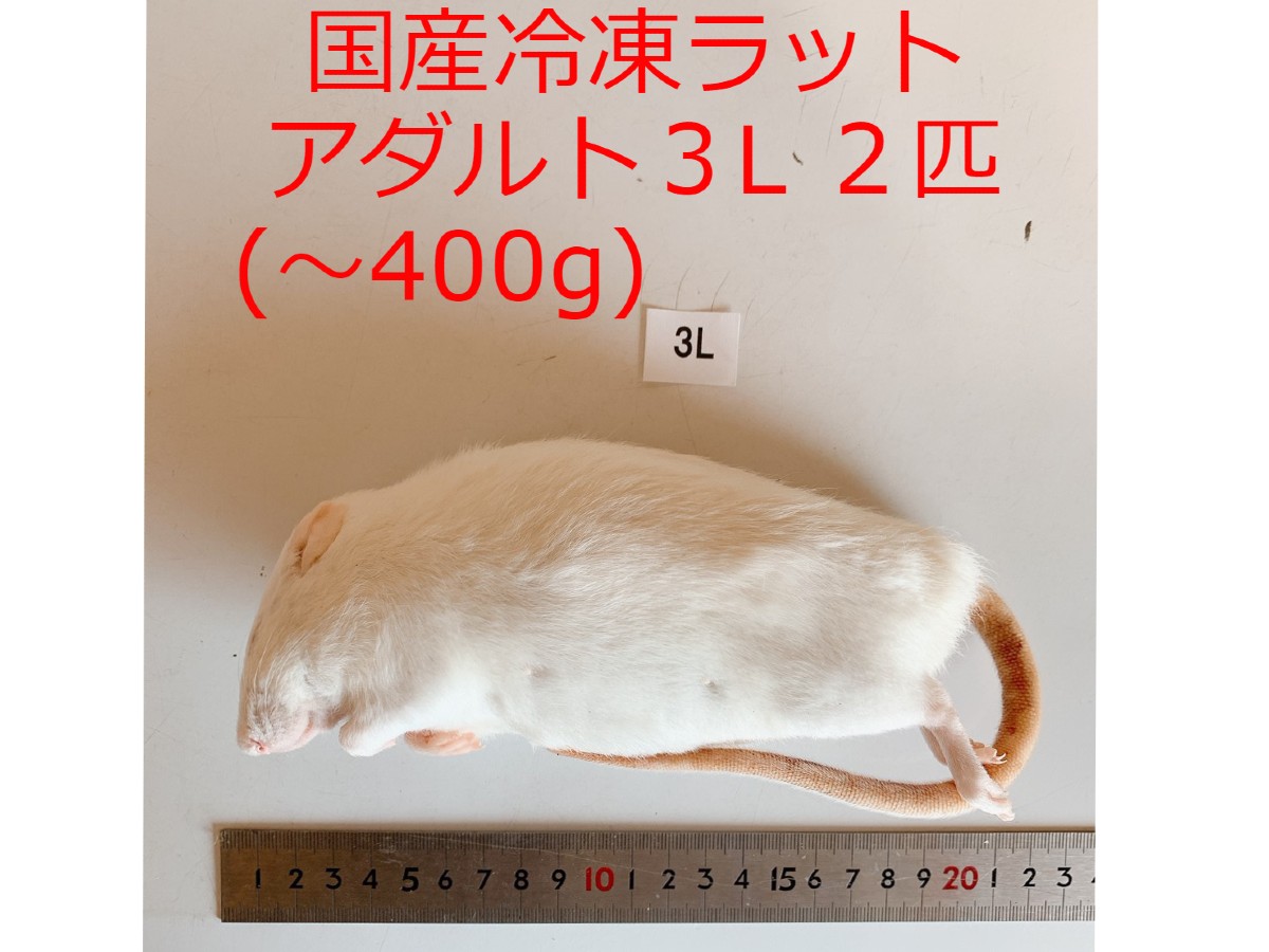 特別セール品 You Chu Shop冷凍ホッパーマウス 約6cm 600匹入り 両生類