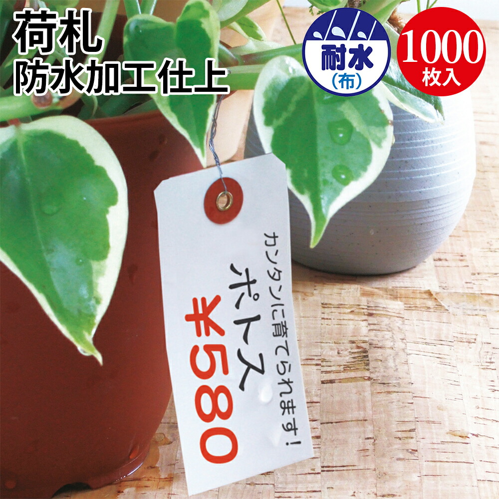 【2026.6】20%OFF＆P5倍！百貨店SALE執り行なう!!