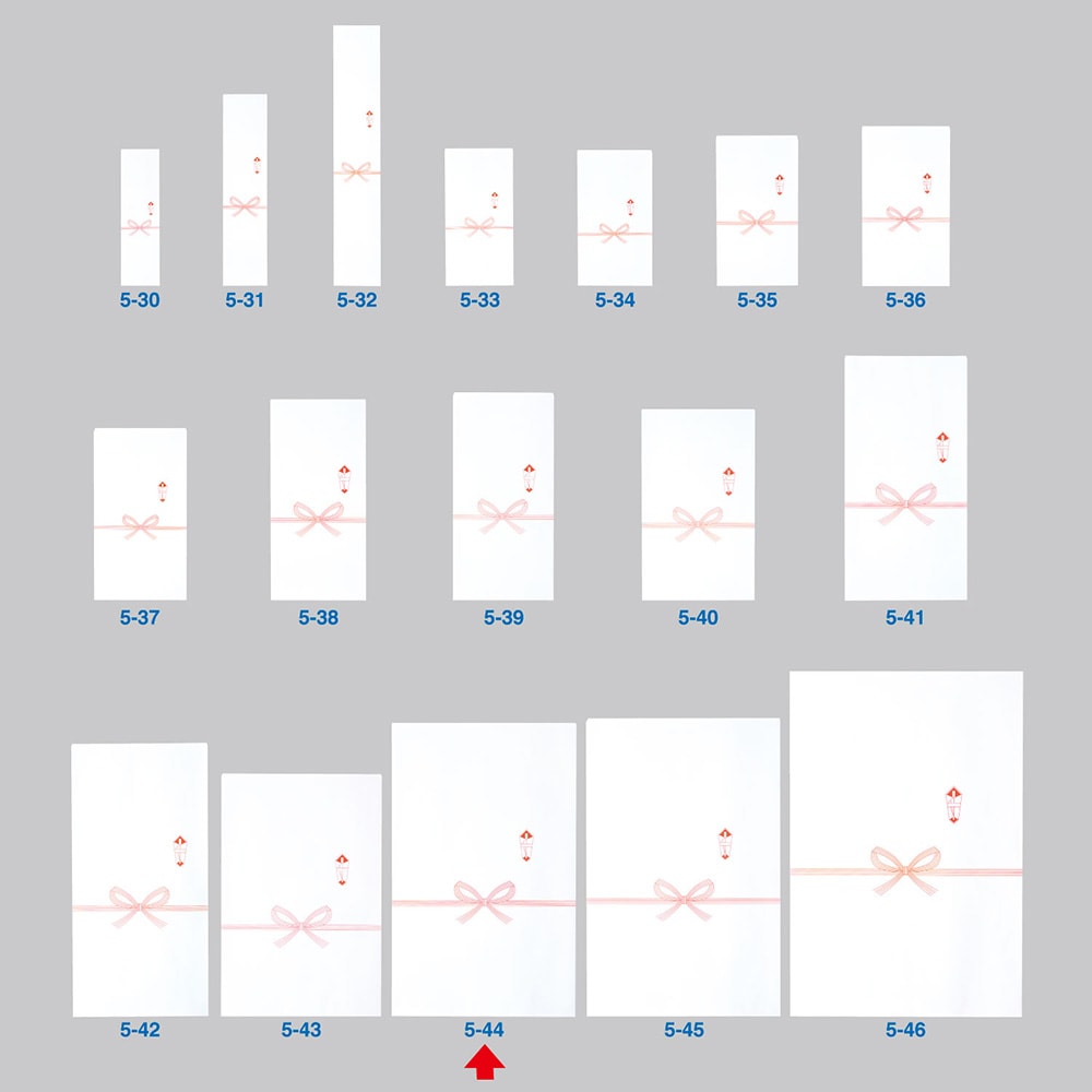 粗もの嚢 225 360 B5封印目当 手帖 付け根 5 44 粗品 花結び お祝宴 祝い お祝い袋 進ぜる 贈答用 記憶品 のし 熨斗 封皮 小袋 下賎 小さい号 小物 袋 白み やすい Cannes Encheres Com