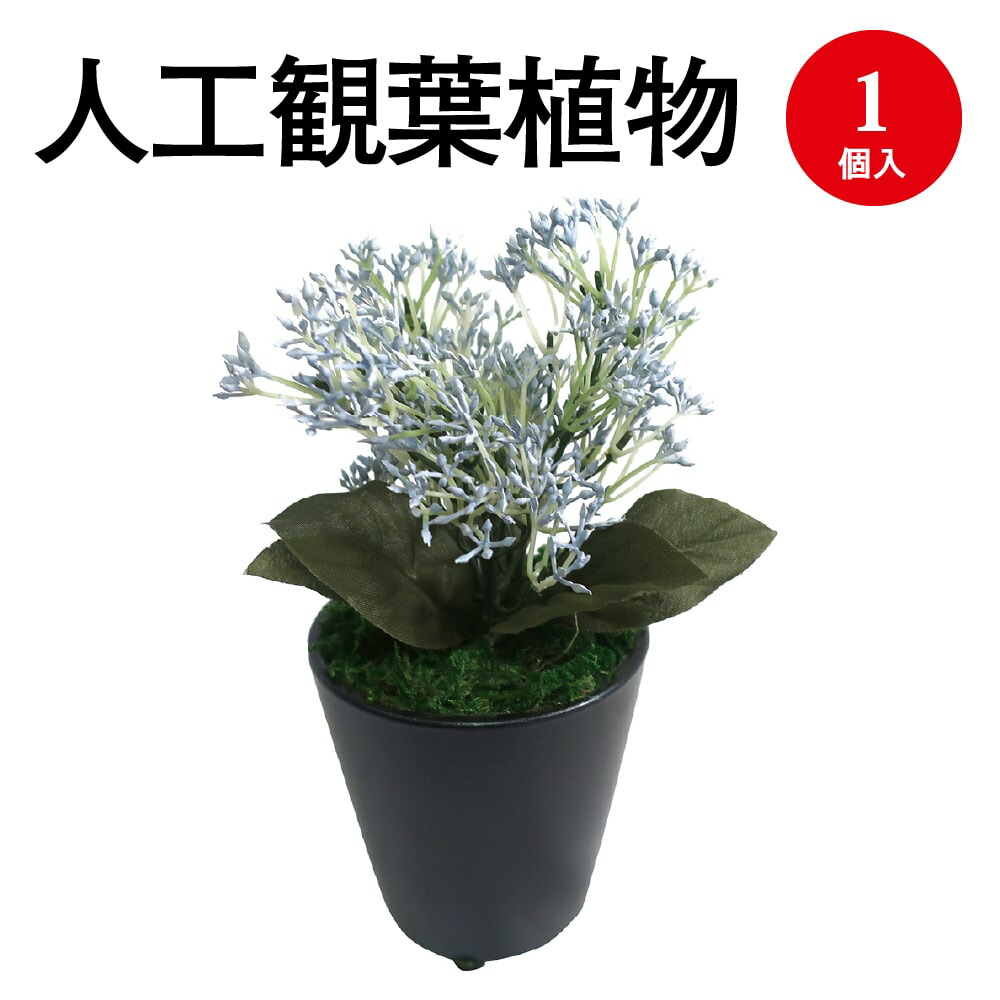 【P5倍!お買い物マラソン限定】 人工観葉植物 ブルースキミア ミニサイズ 32-8703 | 人工樹木 フェイク フェイクグリーン 人工 植物 インテリア 樹木 グリーン 消臭 抗菌 マイナスイオン インテリア雑貨 おしゃれ ミニサイズ プレゼント ギフト 贈答 お見舞い 花 衛生