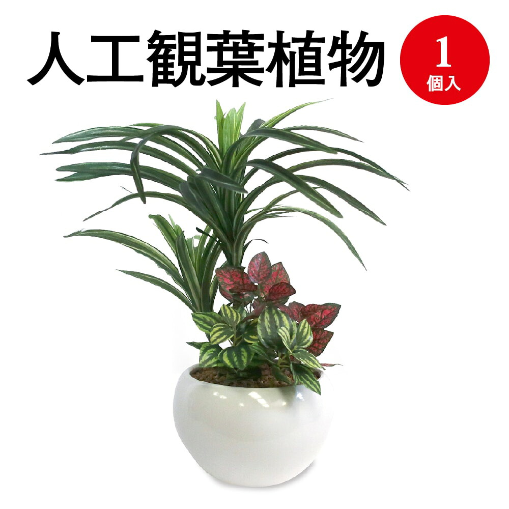 【P5倍 7/30限定！】 人工観葉植物 ユッカ寄植え 1個入 Sサイズ 32-8707 ササガワ | 観葉植物 人工樹木 屋内 屋内用 フェイク 卓上 小 ミニ フェイクグリーン 人工 植物 インテリア グリーン 消臭 抗菌 マイナスイオン おしゃれ プレゼント ギフト 贈答 光触媒 花 衛生｜ササガワオンラインショップ