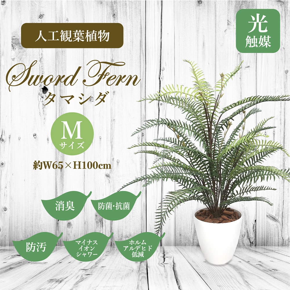 人工樹木 グリーン 植物 人工 消臭 抗菌 ギフト フェイクグリーン フェイク フェイクグリーン プレゼント 樹木 インテリア マイナスイオン インテリア雑貨 おしゃれ ギフト お見舞い 花 癒し 癒しグッズ 癒し用品 人工観葉植物 タマシダ Mサイズ 32 8711 人工樹木 人工樹木 グリーン 植物 人工 消臭 抗菌 ギフト フェイクグリーン フェイク フェイクグリーン プレゼント 樹木 インテリア マイナスイオン インテリア雑貨 おしゃれ ギフト お見舞い 花 癒し 癒しグッズ 癒し用品 人工観葉植物 タマシダ Mサイズ 32 8711 人工樹木