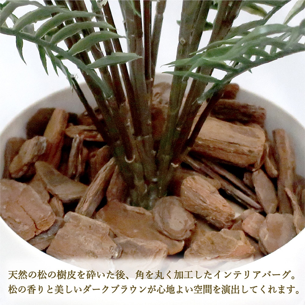 人工樹木 グリーン 植物 人工 消臭 抗菌 ギフト フェイクグリーン フェイク フェイクグリーン プレゼント 樹木 インテリア マイナスイオン インテリア雑貨 おしゃれ ギフト お見舞い 花 癒し 癒しグッズ 癒し用品 人工観葉植物 タマシダ Mサイズ 32 8711 人工樹木 人工樹木 グリーン 植物 人工 消臭 抗菌 ギフト フェイクグリーン フェイク フェイクグリーン プレゼント 樹木 インテリア マイナスイオン インテリア雑貨 おしゃれ ギフト お見舞い 花 癒し 癒しグッズ 癒し用品 人工観葉植物 タマシダ Mサイズ 32 8711 人工樹木