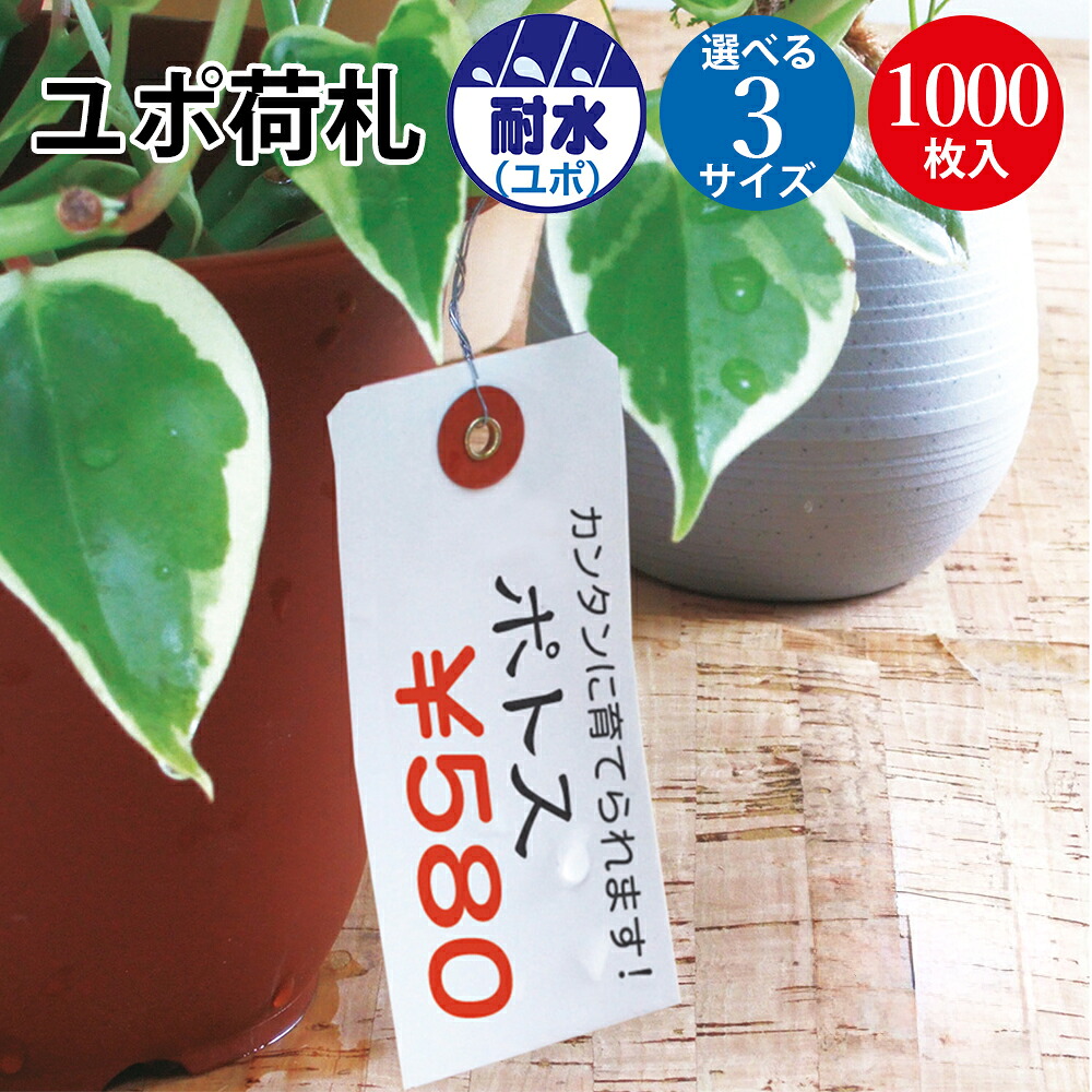 【P5倍 7/30限定！】 ユポ荷札 耐水 豆 中 大 1000枚 ササガワ | ユポ 白無地 値段 プライス 札 POP ポップ タグ おしゃれ ラベル ハンドメイド 店舗 シンプル 雑貨 針金 ショップ 業務用 園芸 園芸用品 プライスタグ 防水 屋外 キャンプ用品 アウトドア 冷凍食品 冷蔵｜ササガワオンラインショップ