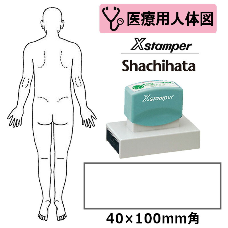 【シヤチハタ】診療用人身図 体制（成人男性うしろ側） Xスタンパー 角型印 40100号 ( 印面大きさ:40×100粍 ) 診療・ホスピタル・看護師・白衣の天使・整体師 はんこ 消し印