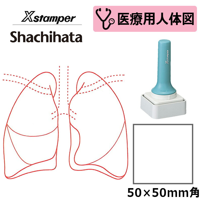 【シヤチハタ】診療用人身図（肺） Xスタンパー 角型印 特角50号 5050号 ( 印面大きさ:50×50粍 )診療・ホスピタル・看護師・白衣の天使 はんこ 消し印