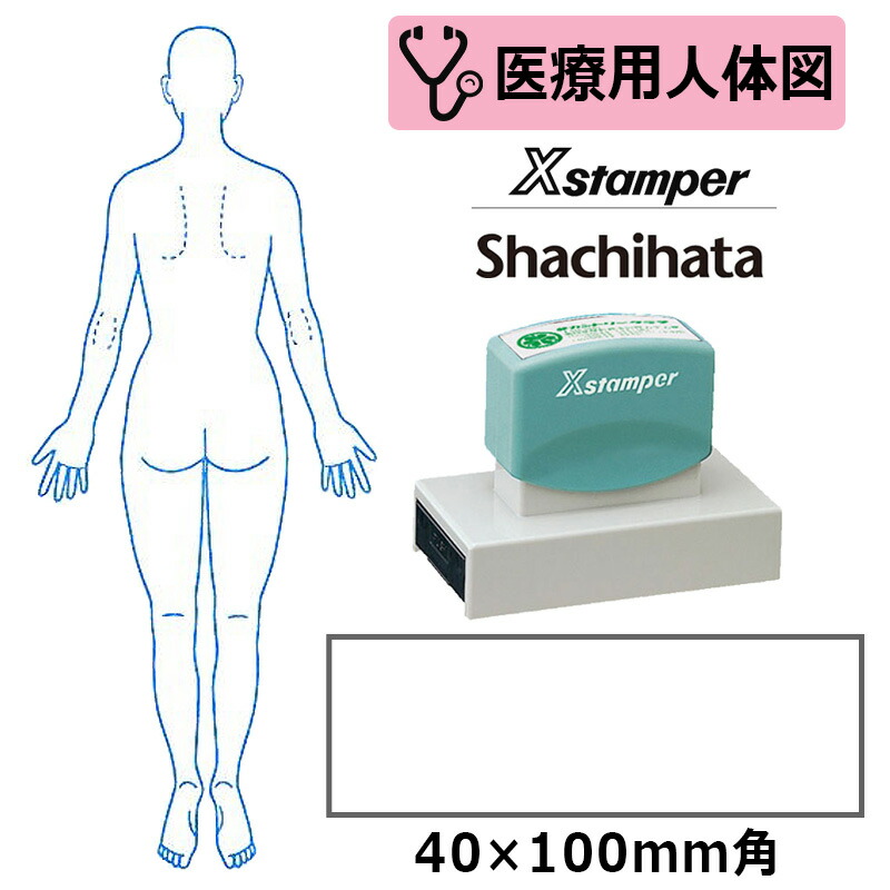 【シヤチハタ】診療用人身図 体制（成人女性うしろ側） Xスタンパー 角型印 40100号 ( 印面大きさ:40×100粍 ) 診療・ホスピタル・看護師・白衣の天使・整体師 はんこ 消し印