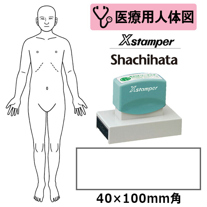 【シヤチハタ】診療用人身図 体制（向こう正面） Xスタンパー 角型印 40100号 ( 印面大きさ:40×100粍 ) 診療・ホスピタル・看護師・白衣の天使・整体師 はんこ 消し印