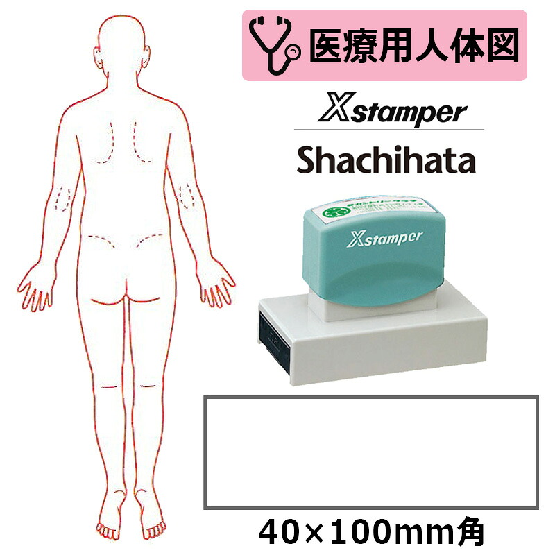【シヤチハタ】診療用人身図 体制（うしろ側） Xスタンパー 角型印 40100号 ( 印面大きさ:40×100粍 ) 診療・ホスピタル・看護師・白衣の天使・整体師 はんこ 消し印