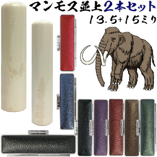 実印 マンモス 並上 印鑑 セット 2本セット 実印15mm 銀行印13 5mm 送料無料 赤ちゃん かわいい ハンコ おしゃれ 入れ フルネーム はんこ オーダー 判子 女性 銀行印鑑 ハンコケース ケース付き はんこケース 印鑑チタン チタン印鑑セット 個人印鑑 個人 子供 作成 67